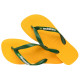 Havaianas Brasil Logo